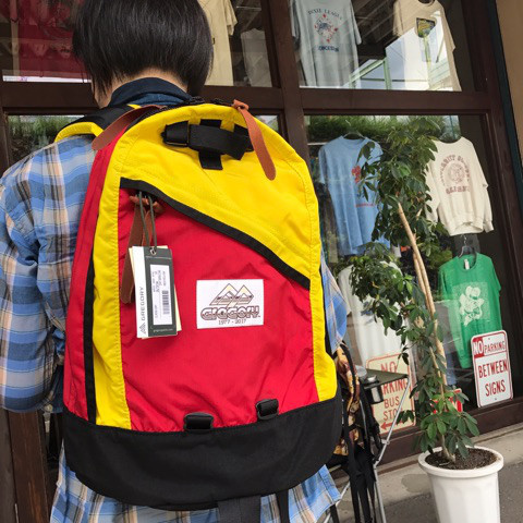 アウトドアバッグのキング、グレゴリーのデイパックです。